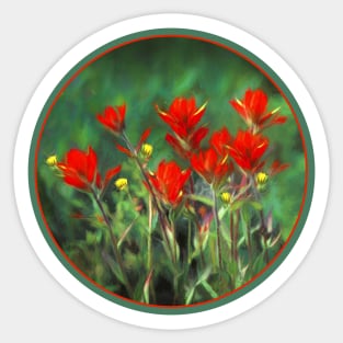 Indian Paintbrush Sticker